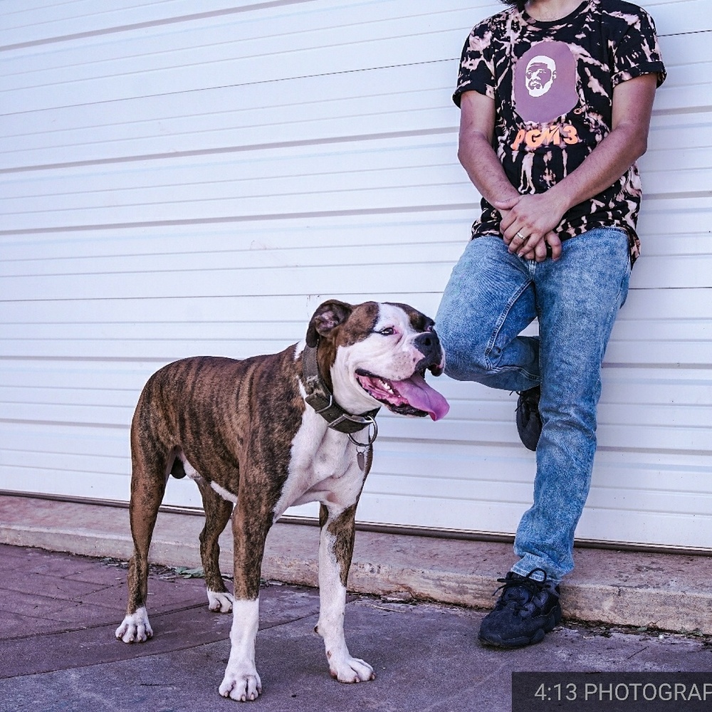 Meet your Posher, Jesus